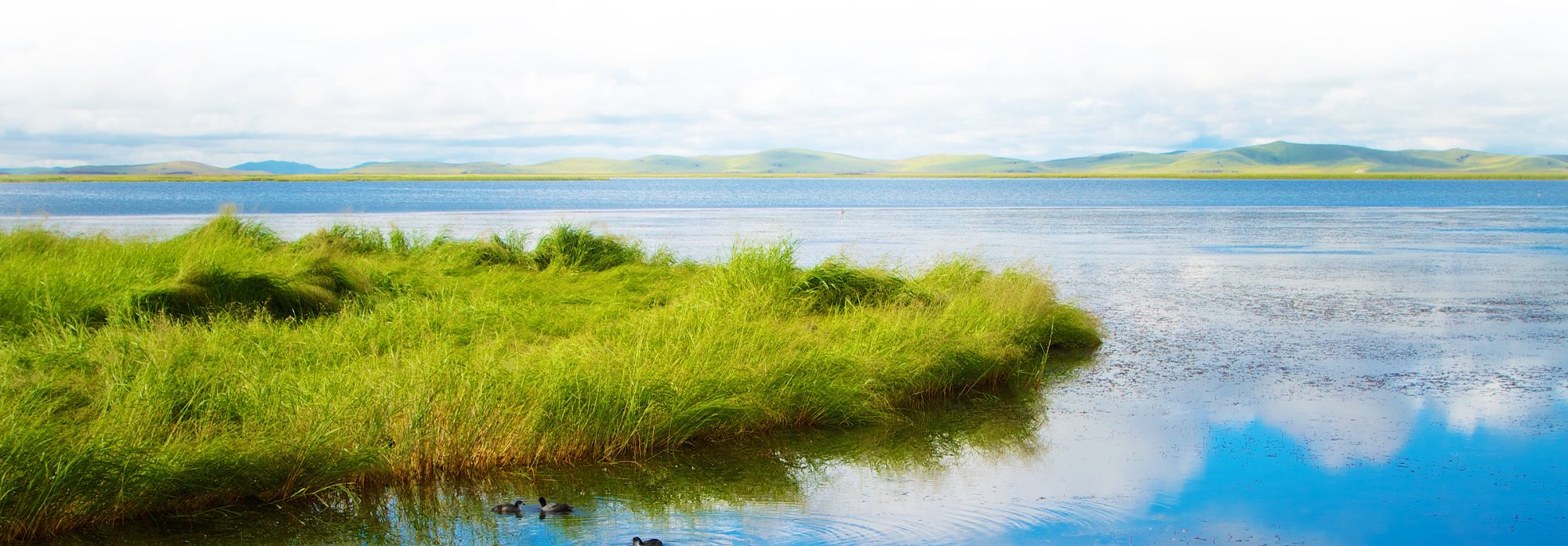 Footer Scene Marsh Water Footer Background