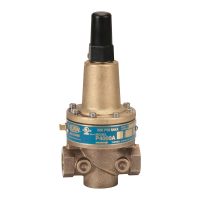 Relief Valves