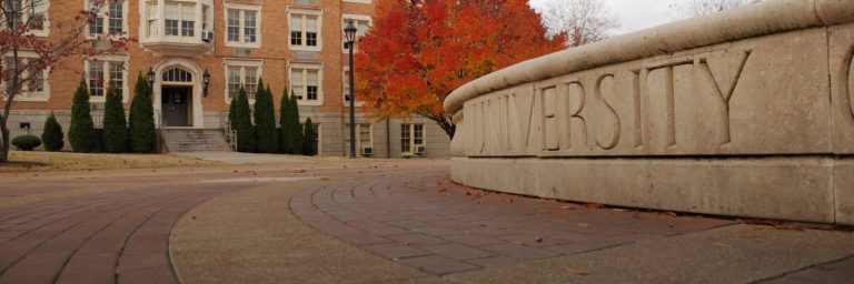 Higher Education
