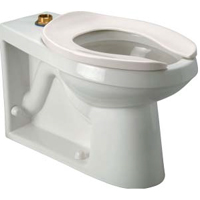 EcoVantage® HET ADA Floor-mounted Toilet with Integral Bedpan Lugs