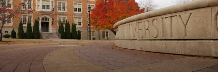 Higher Education