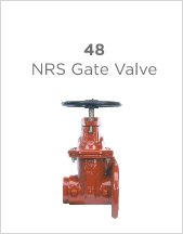 48 NRS